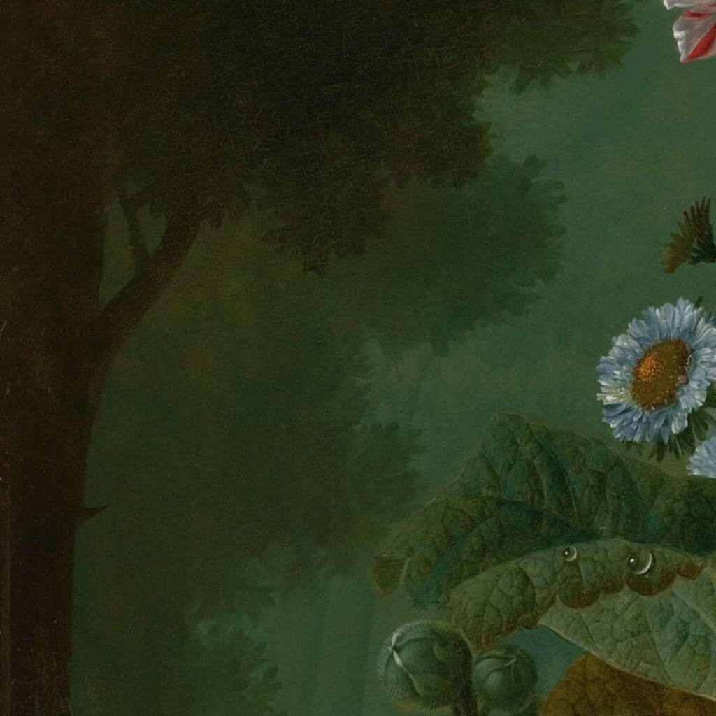 Jan van Os: Jan van Os, Still Life with Carnations and Exotic Fruit, ca. 1770s, Virginia Museum of Fine Arts, Richmond, VA, USA. Detail.
