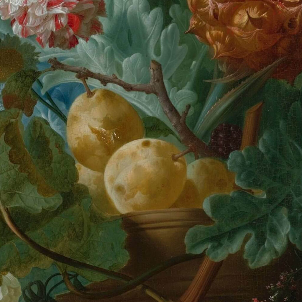 Jan van Os: Jan van Os, Still Life with Carnations and Exotic Fruit, ca. 1770s, Virginia Museum of Fine Arts, Richmond, VA, USA. Detail.
