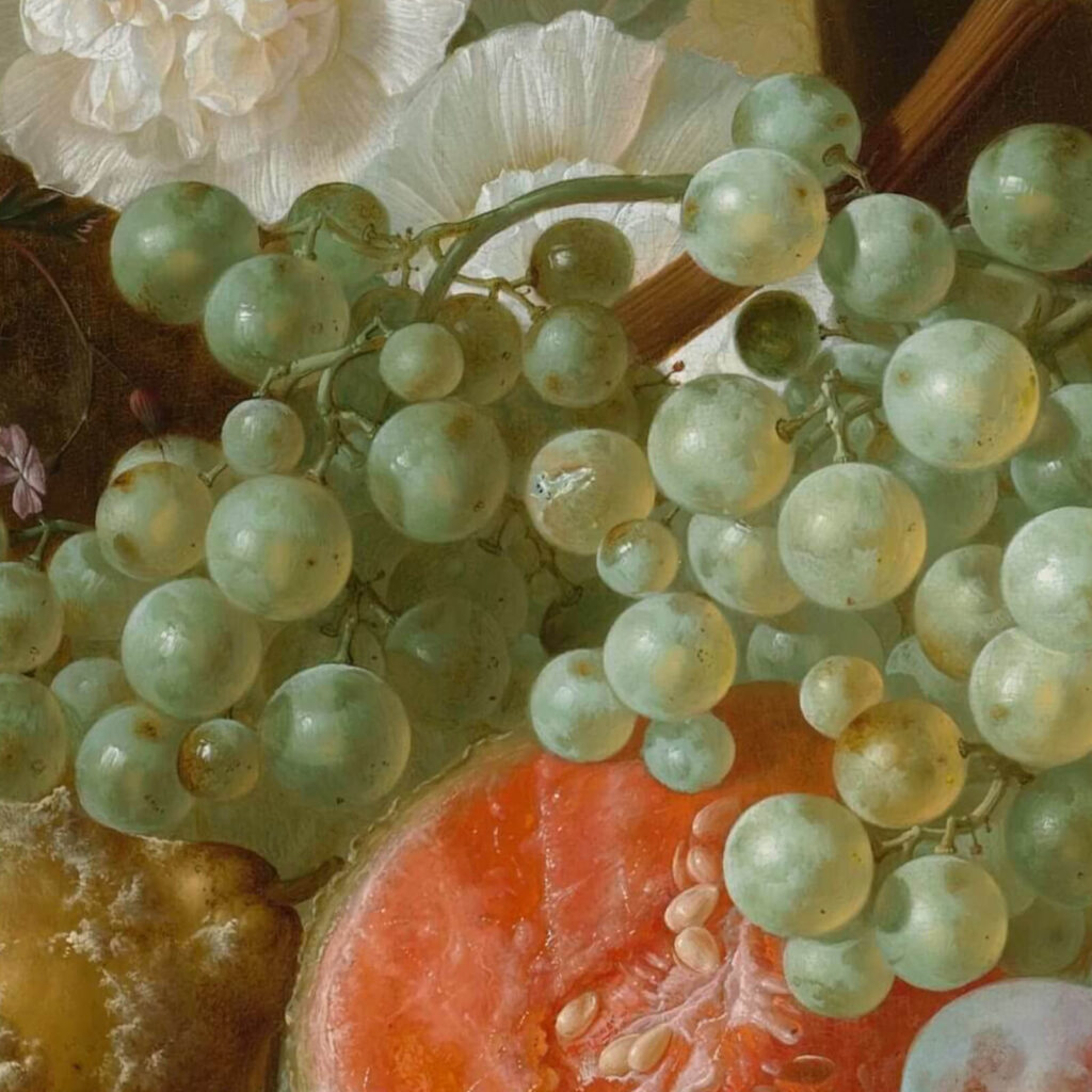 Jan van Os: Jan van Os, Still Life with Carnations and Exotic Fruit, ca. 1770s, Virginia Museum of Fine Arts, Richmond, VA, USA. Detail.
