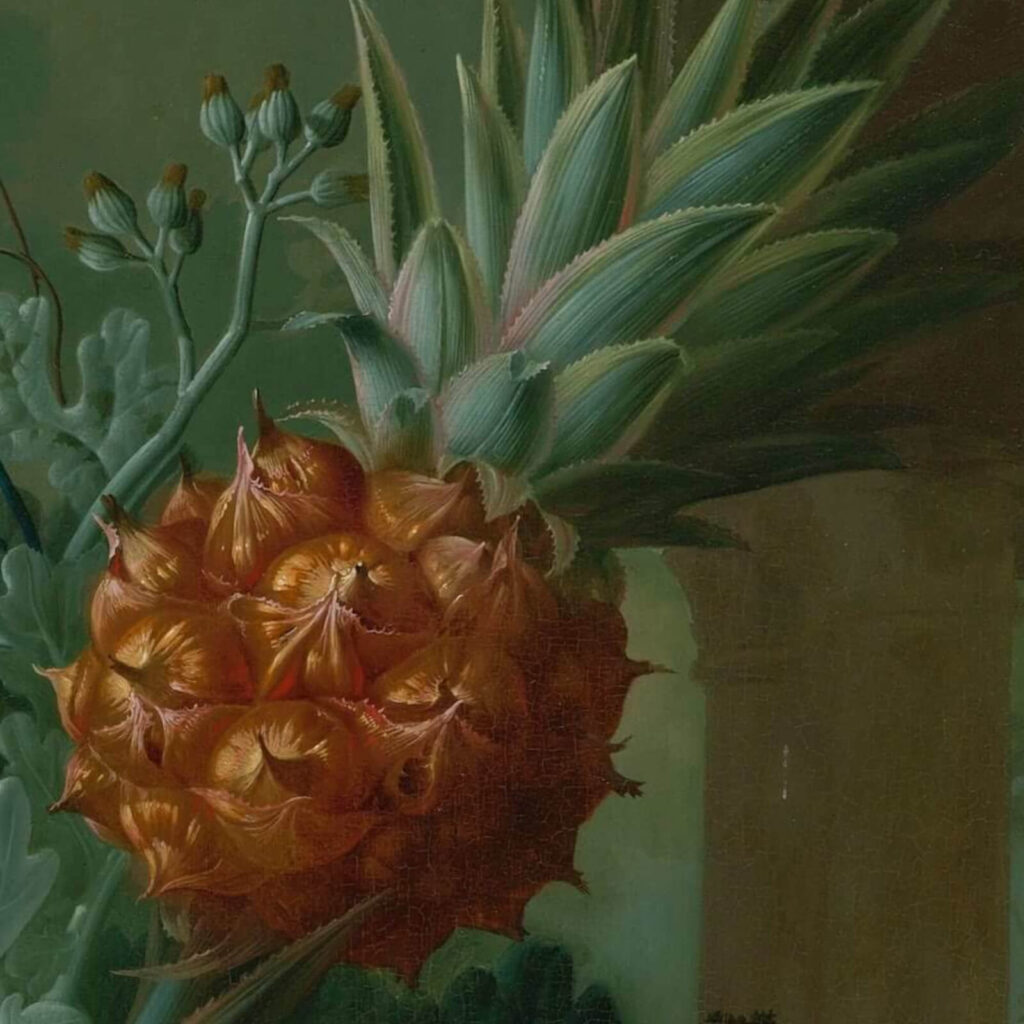Jan van Os: Jan van Os, Still Life with Carnations and Exotic Fruit, ca. 1770s, Virginia Museum of Fine Arts, Richmond, VA, USA. Detail.

