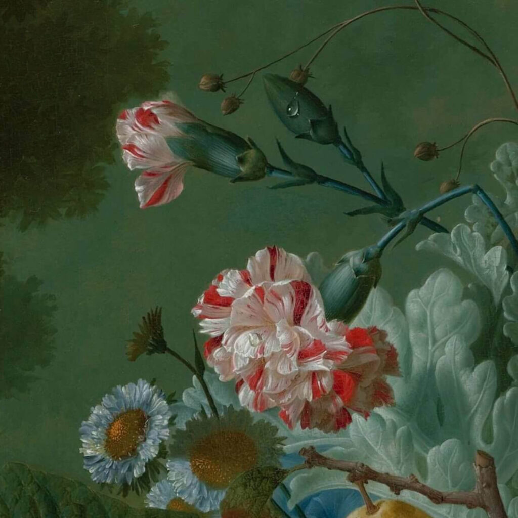 Jan van Os: Jan van Os, Still Life with Carnations and Exotic Fruit, ca. 1770s, Virginia Museum of Fine Arts, Richmond, VA, USA. Detail.
