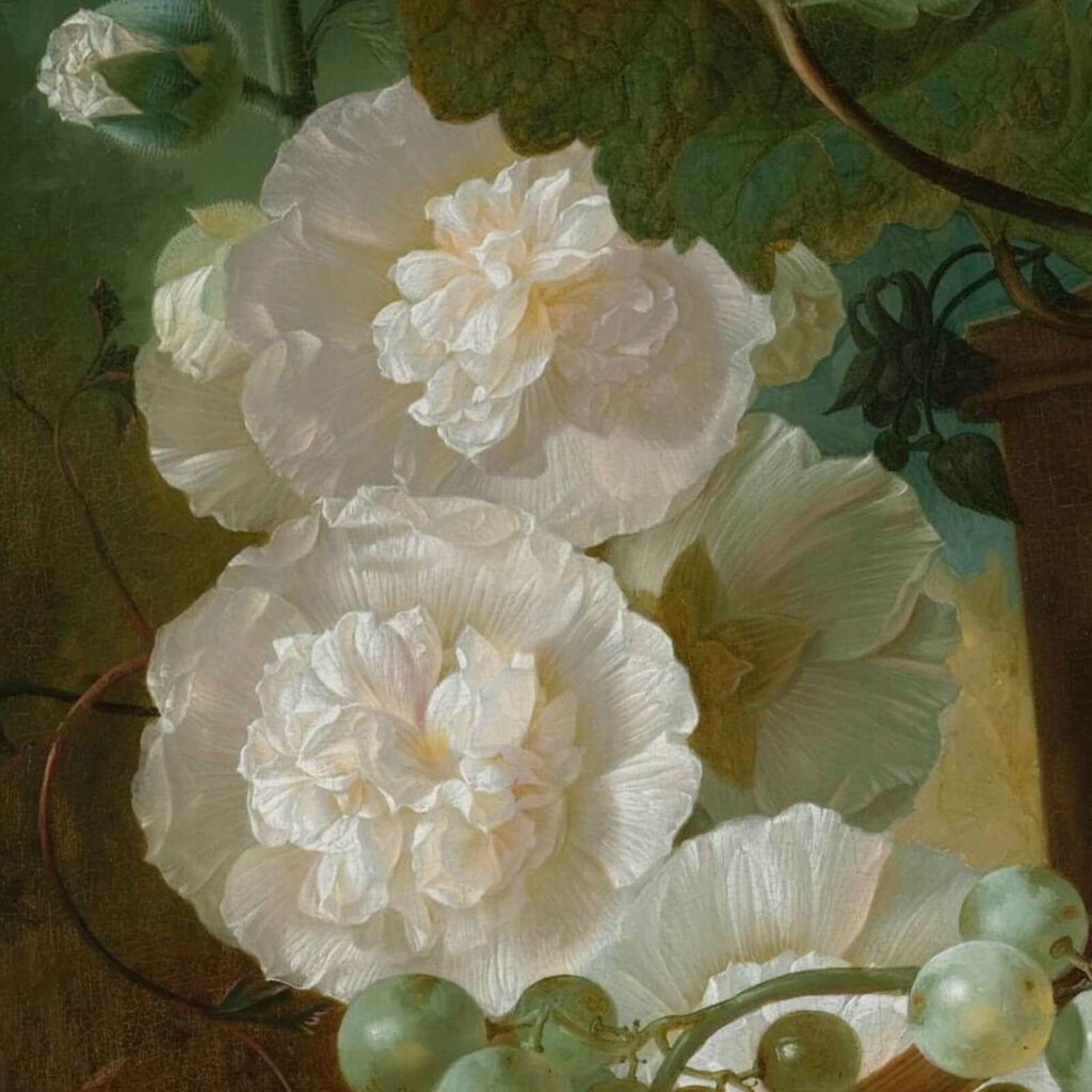 Jan van Os: Jan van Os, Still Life with Carnations and Exotic Fruit, ca. 1770s, Virginia Museum of Fine Arts, Richmond, VA, USA. Detail.
