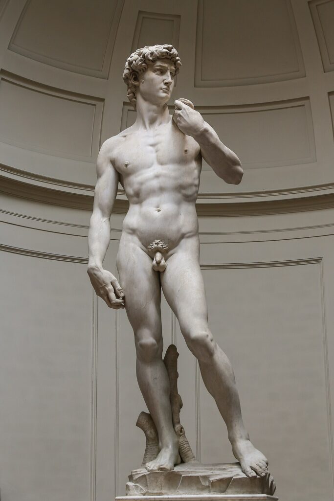 Michelangelo masterpieces: Michelangelo, David, 1501–1504, Galleria dell’Accademia, Florence, Italy. Photograph by Jörg Bittner Unna.

