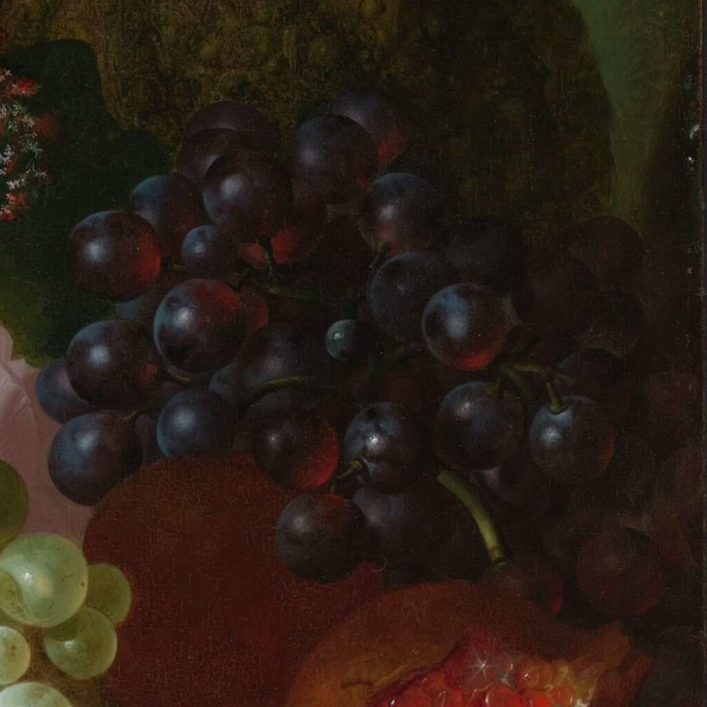 Jan van Os: Jan van Os, Still Life with Carnations and Exotic Fruit, ca. 1770s, Virginia Museum of Fine Arts, Richmond, VA, USA. Detail.
