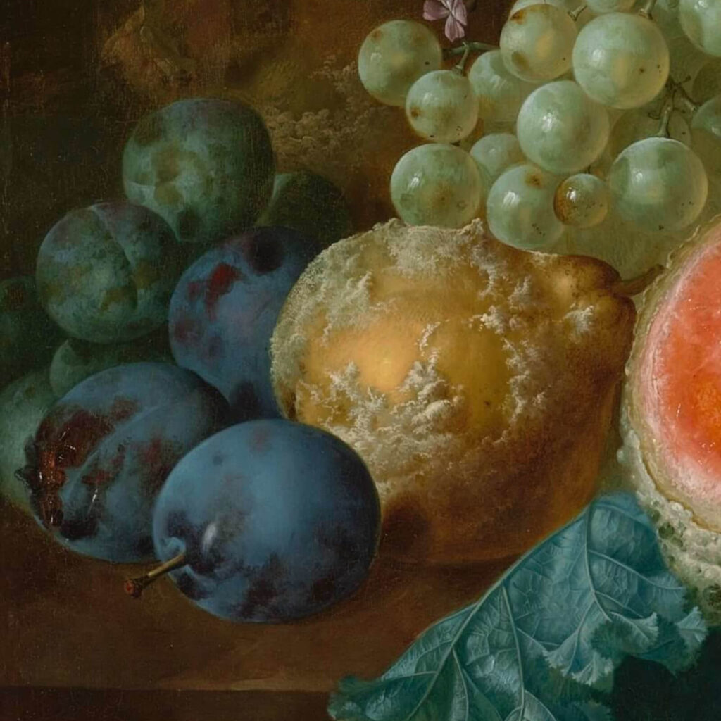 Jan van Os: Jan van Os, Still Life with Carnations and Exotic Fruit, ca. 1770s, Virginia Museum of Fine Arts, Richmond, VA, USA. Detail.
