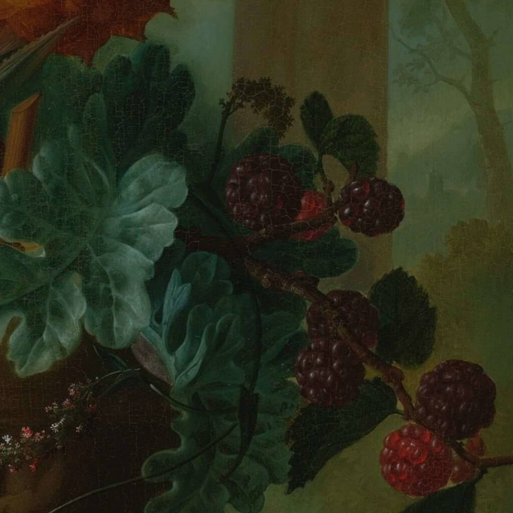 Jan van Os: Jan van Os, Still Life with Carnations and Exotic Fruit, ca. 1770s, Virginia Museum of Fine Arts, Richmond, VA, USA. Detail.
