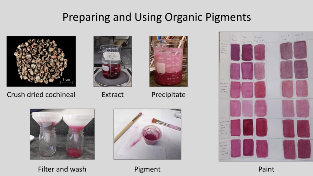 Venetian colors: Reconstruction of cochineal lake pigment production. Sandbox.
