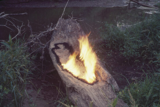 Ana Mendieta, Untitled: Silueta Series 1977. © The Estate of Ana Mendieta Collection, LLC. Licensed by Artist Rights Society (ARS), New York / DACS, 2026 / Courtesy Marian Goodman Gallery and Alison Jacques, London