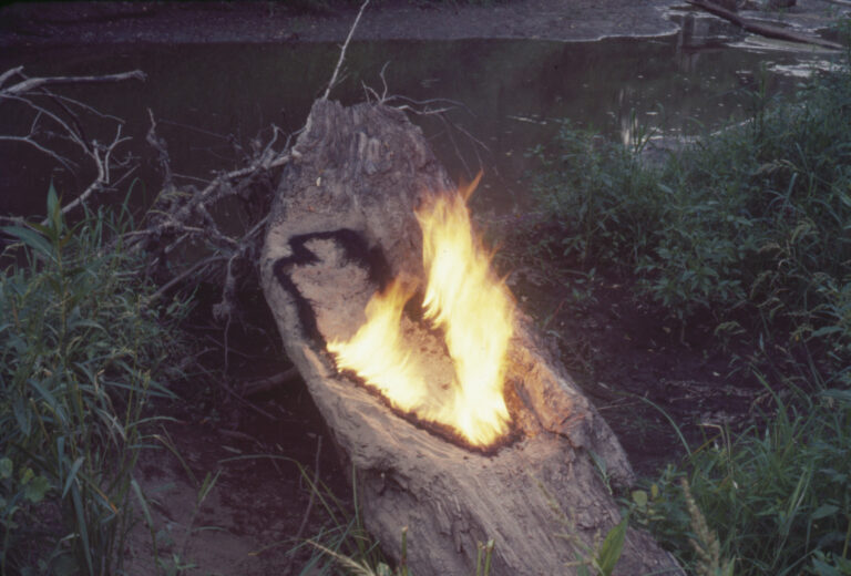ana mendieta tate modern: Ana Mendieta, Untitled: Silueta Series 1977. © The Estate of Ana Mendieta Collection, LLC. Licensed by Artist Rights Society (ARS), New York / DACS, 2026 / Courtesy Marian Goodman Gallery and Alison Jacques, London, UK.
