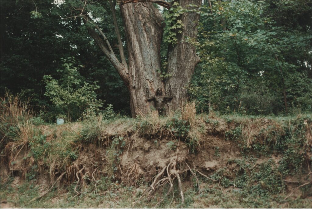 ana mendieta tate modern: Ana Mendieta, Untitled: Silueta Series 1976 © The Estate of Ana Mendieta Collection, LLC. Licensed by Artist Rights Society (ARS), New York / DACS, 2026 / Courtesy Marian Goodman Gallery and Alison Jacques, London, UK.
