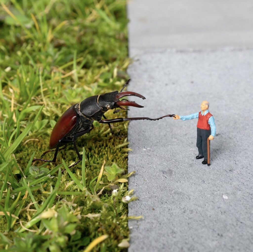 Slinkachu: Slinkachu, Stag Beetle, 2022. Artist’s Instagram.
