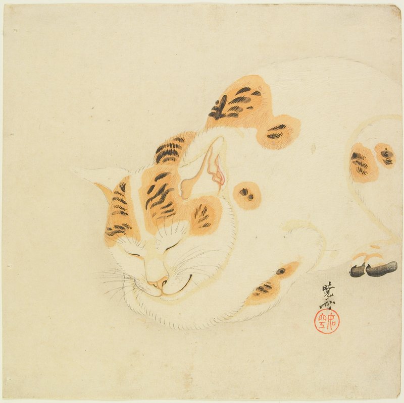 Animals in Japanese art: Kawanabe Kyōsai, Sleeping Cat, 19th century, Minneapolis Institute of Art, Minneapolis, MN, USA.
