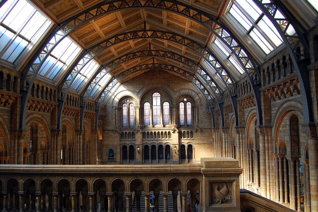 Natural History Museum: Central Hall, Natural History Museum, London, UK. Photograph by Minn Pongpaibul via Wikimedia Commons (CC-BY-SA-4.0).
