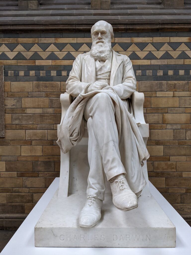 Natural History Museum: Sculpture of Charles Darwin, Natural History Museum, London, UK. Photograph by Slaia via Wikimedia Commons (CC-BY-SA-4.0).
