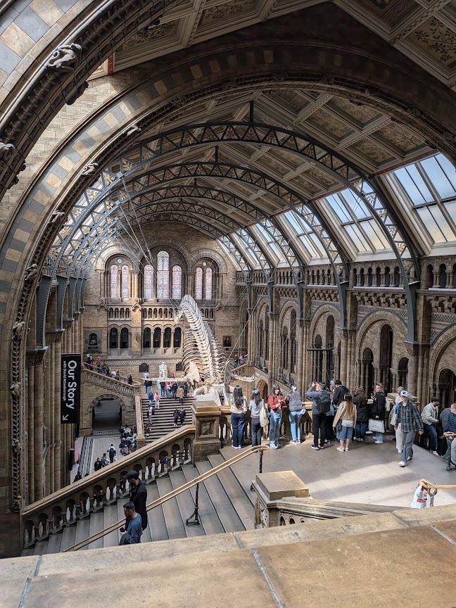 Natural History Museum: View of interior, Natural History Museum, London, UK. Photograph by Maya M. Tola.
